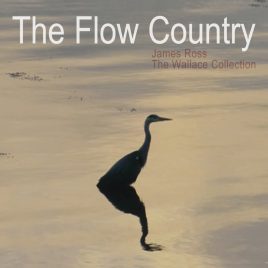 The Flow Country CD cover artwork