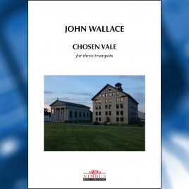 Cover of Chosen Vale